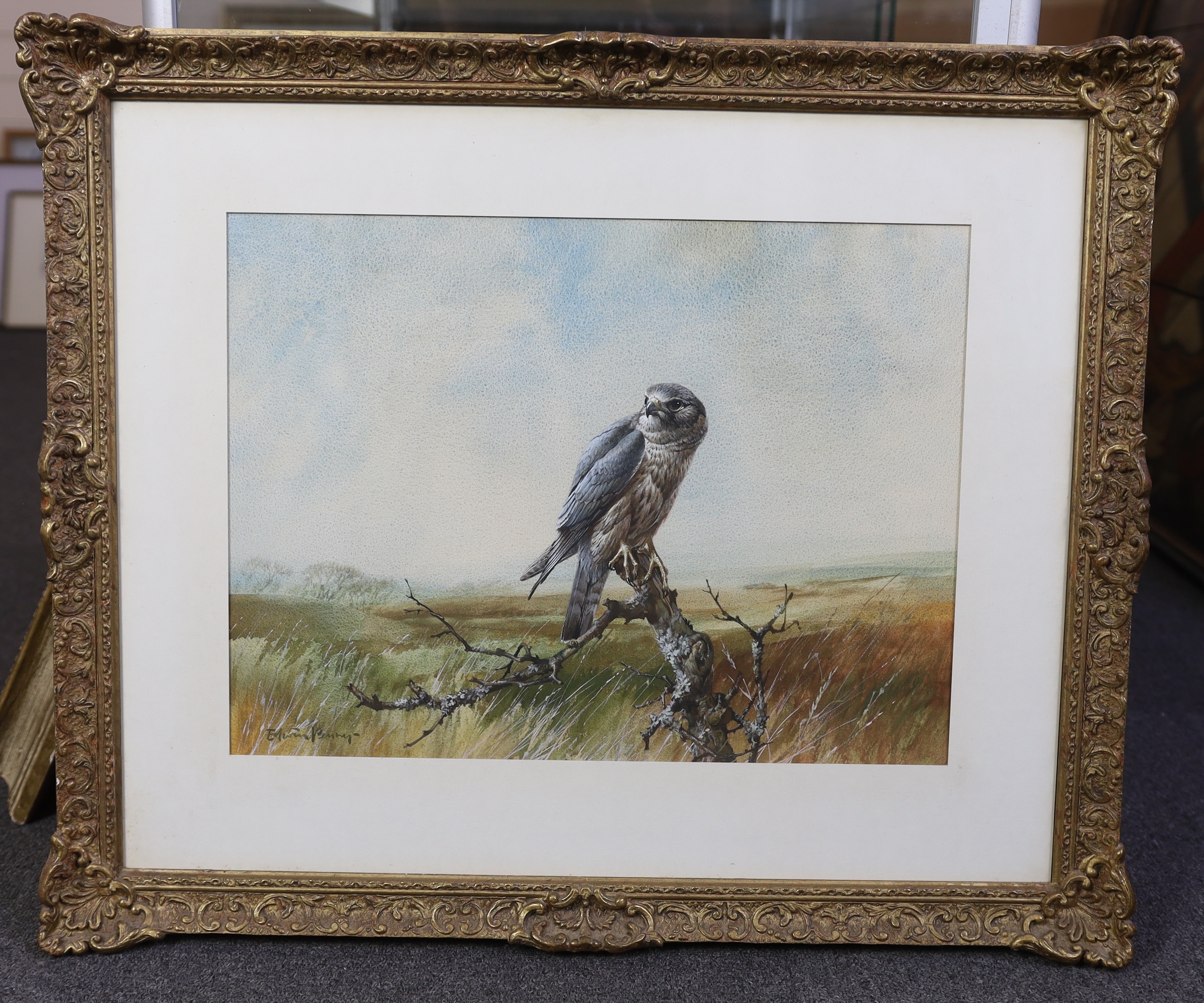 Edwin Penny (English, 1930-2016), 'Merlin', watercolour, 36.5 x 49.5cm